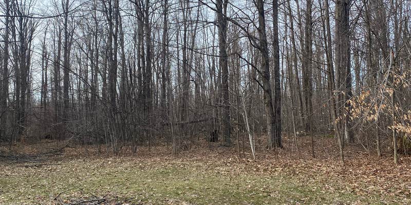 Camper submitted image from Pigeon River State Forest dispersed camping