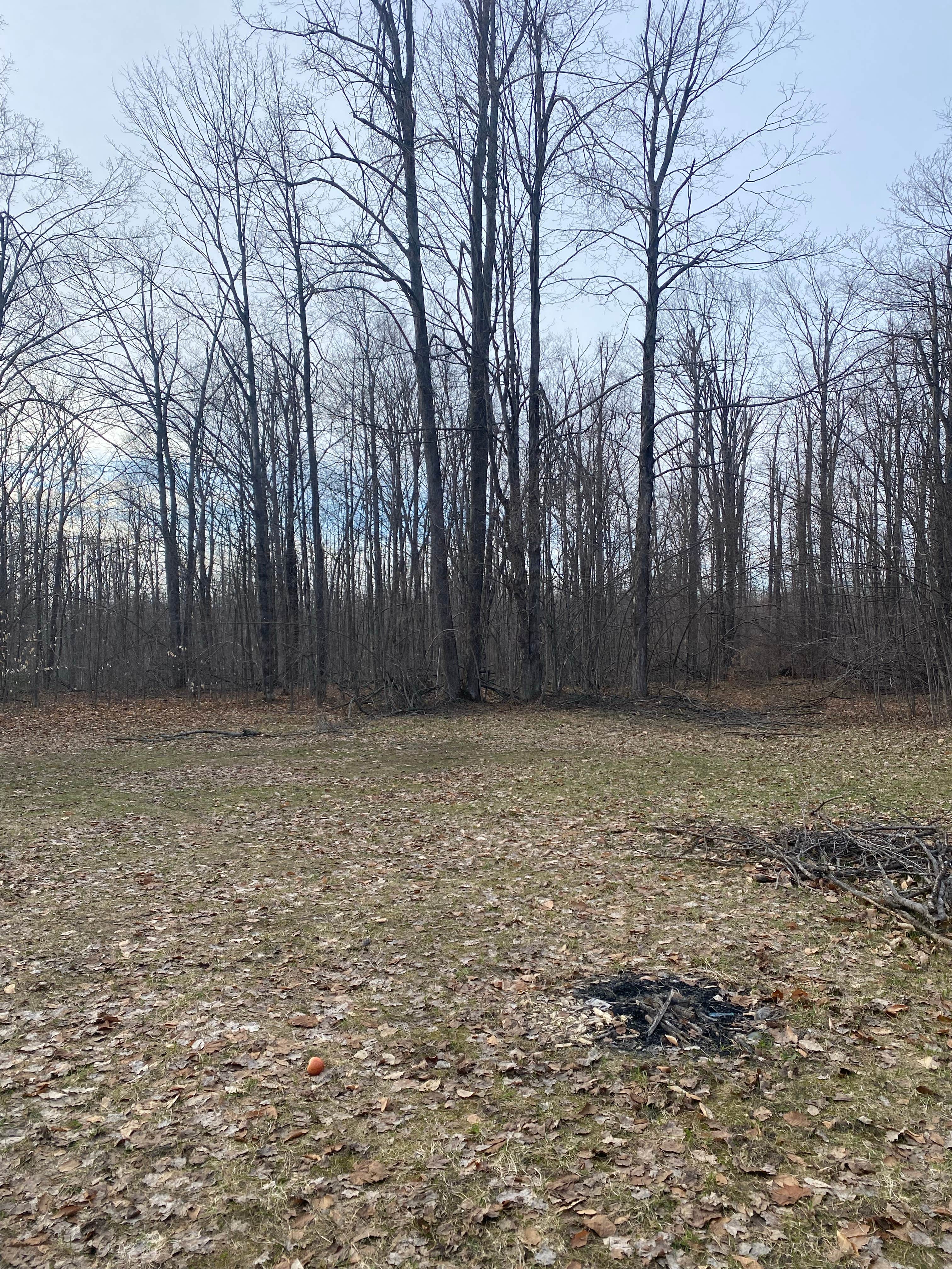 Camper-submitted photo at Pigeon River State Forest dispersed camping near Atlanta, MI