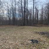 Review photo of Pigeon River State Forest dispersed camping by Carolyn S., April 21, 2026