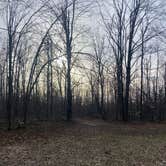 Review photo of Pigeon River State Forest dispersed camping by Carolyn S., April 21, 2026