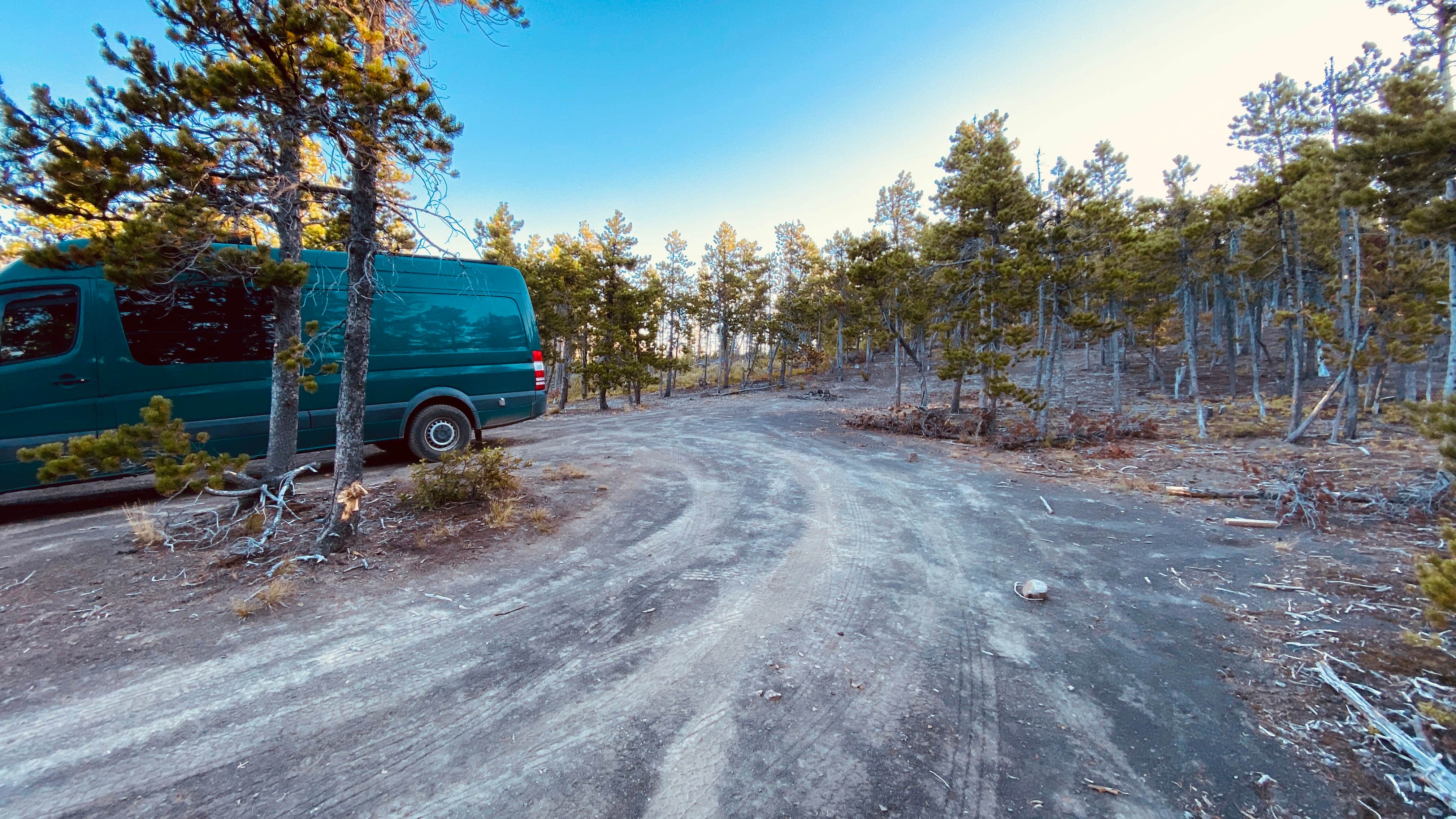 Camper submitted image from Pike Creek dispersed - 2