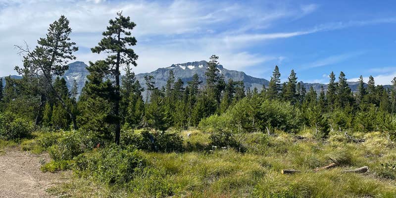 Camper submitted image from Pike Creek dispersed