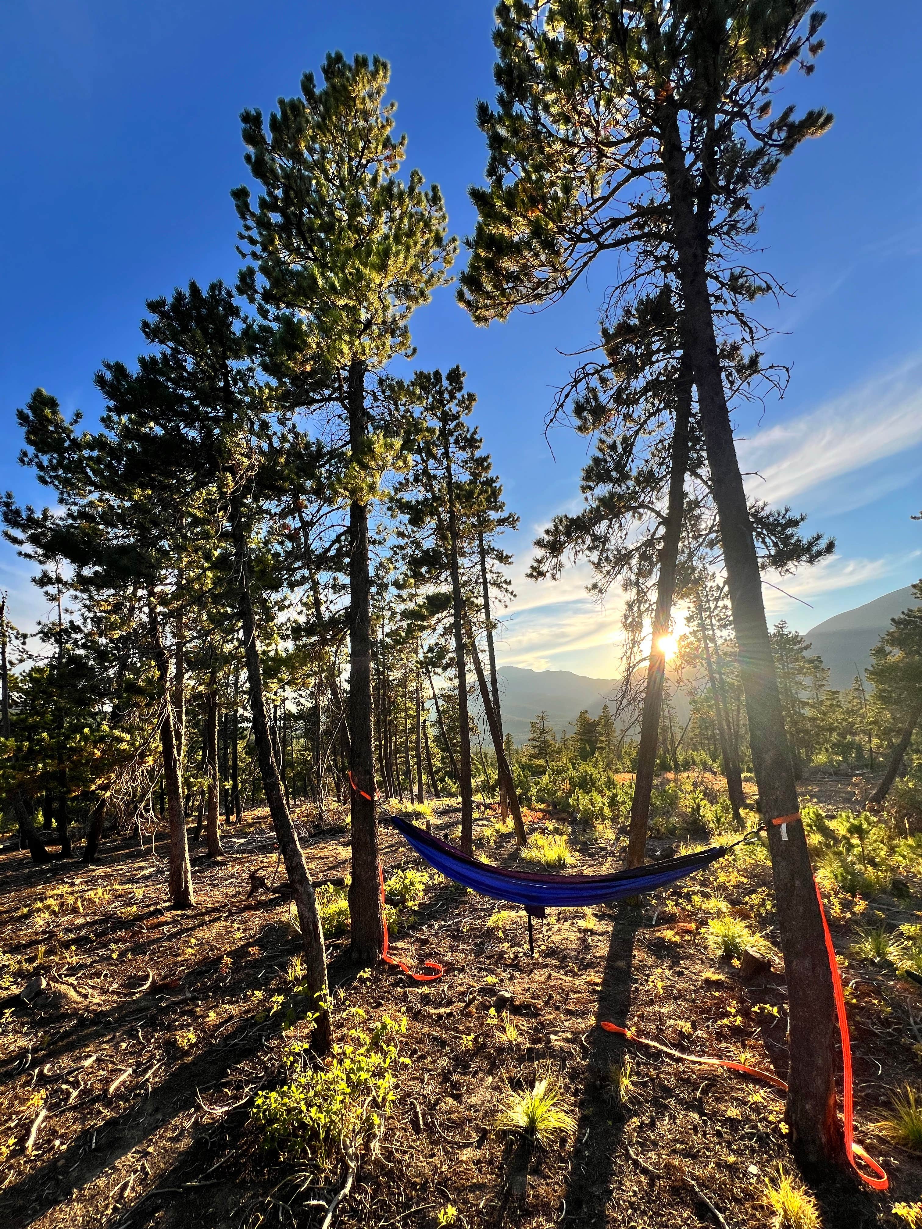 Camper-submitted photo at Pike Creek dispersed near Heart Butte, MT