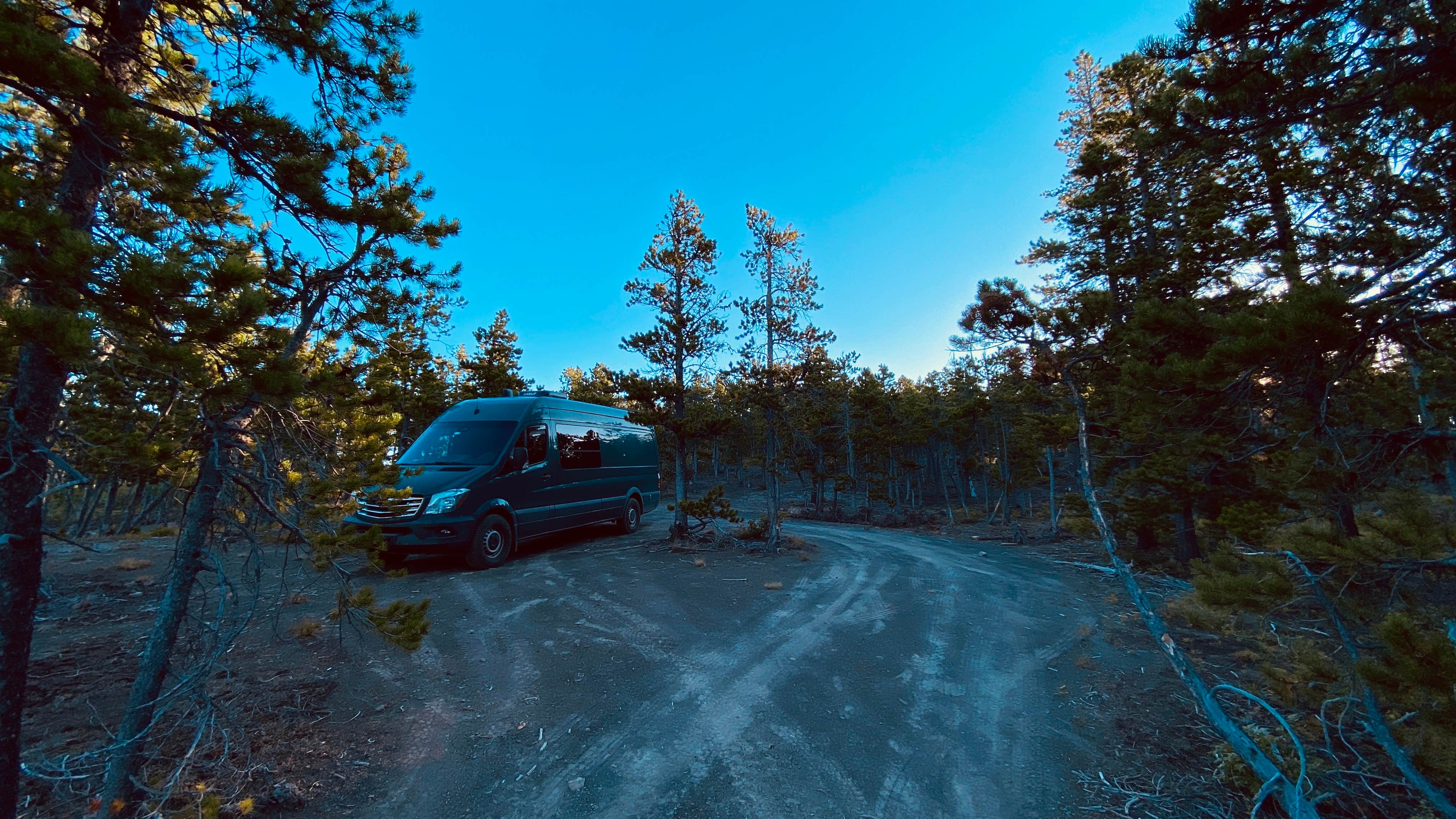 Camper submitted image from Pike Creek dispersed - 3