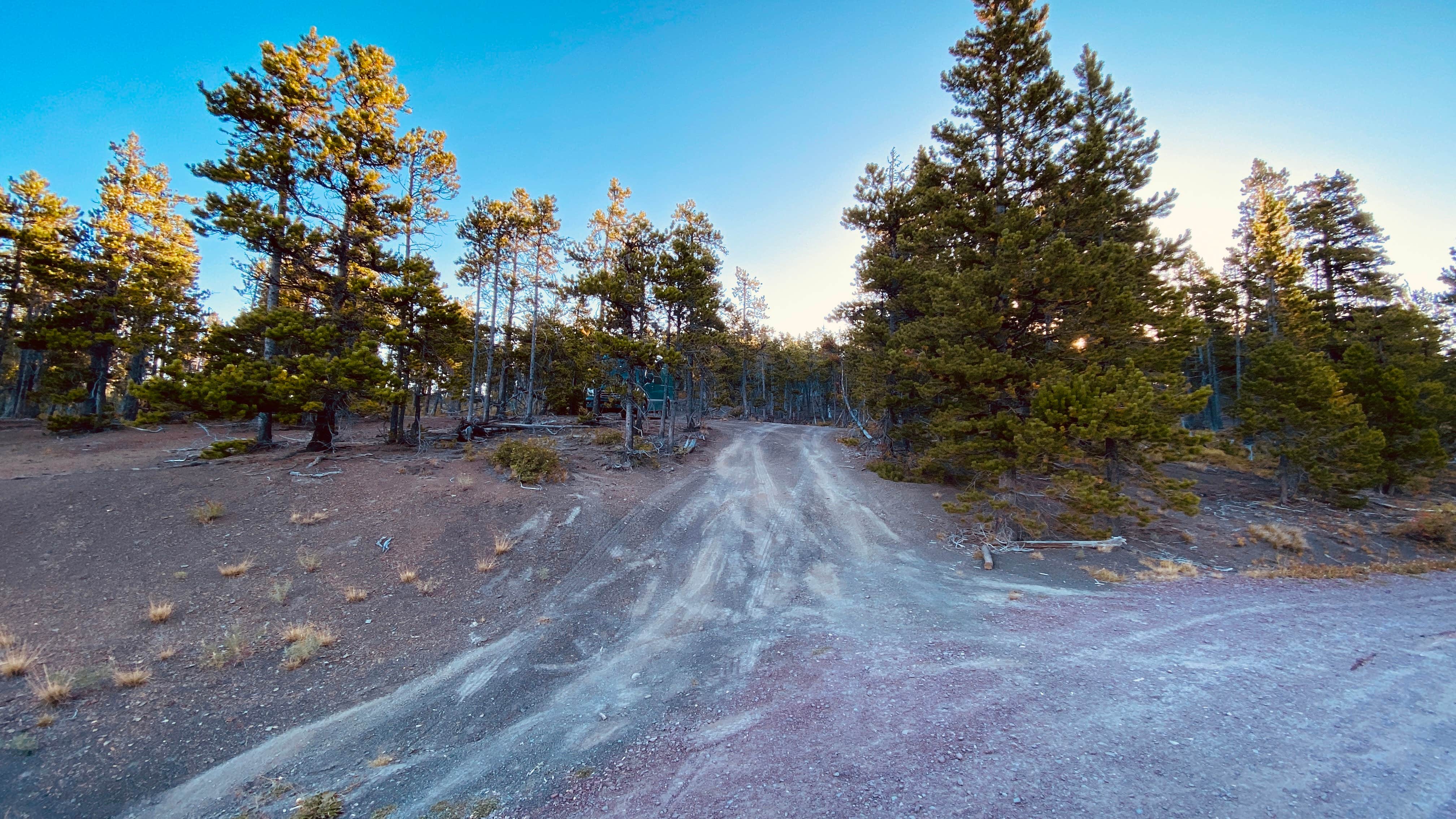 Camper submitted image from Pike Creek dispersed - 1