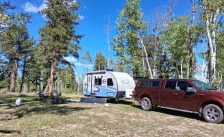 Shelley B.'s photo at pike national forest (CR 511) near Divide, CO