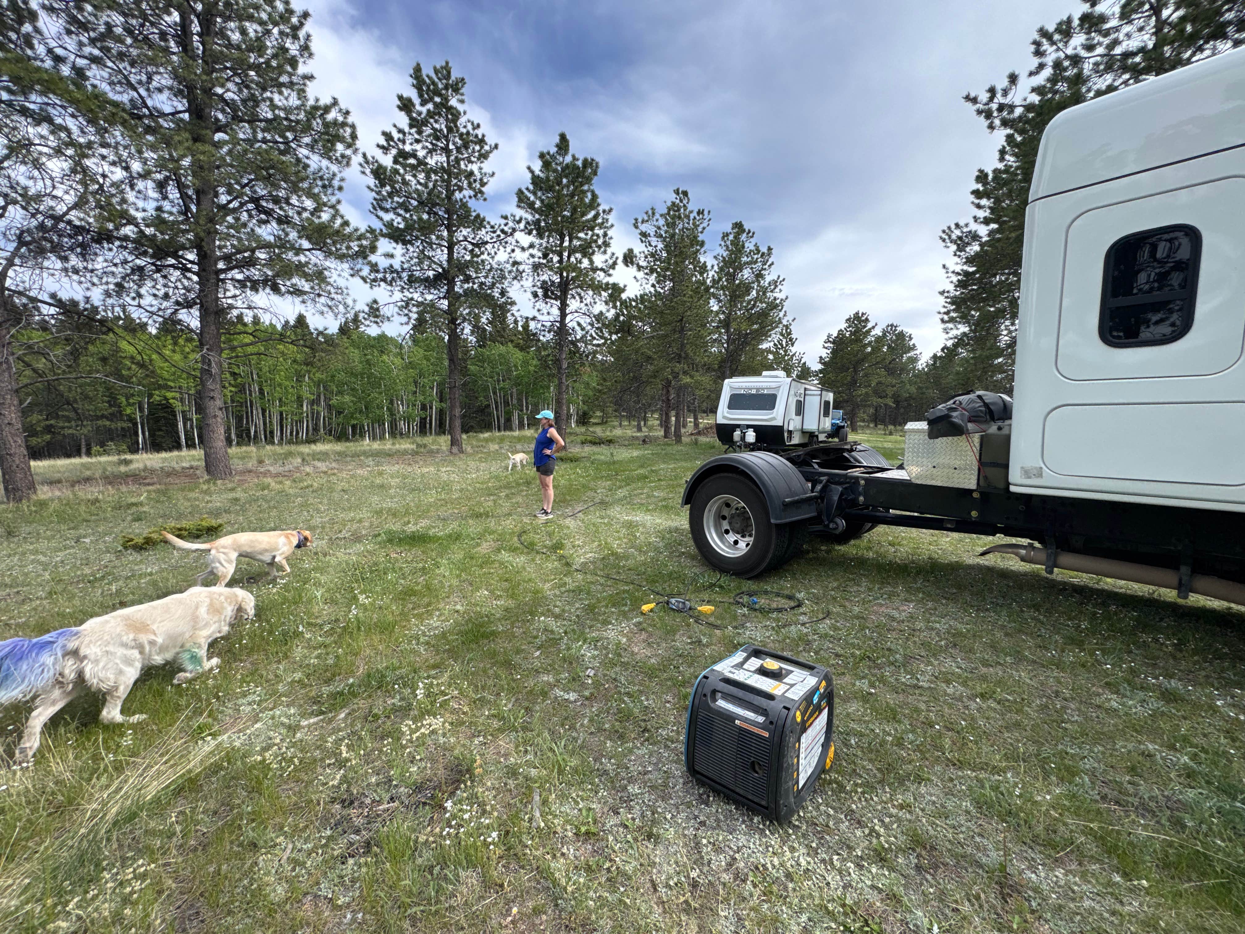 Nature