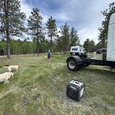 Review photo of pike national forest (CR 511) by Michael M., June 7, 2026