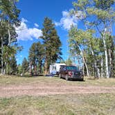 Review photo of pike national forest (CR 511) by Shelley B., September 22, 2026