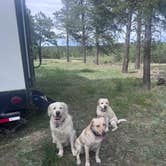 Review photo of pike national forest (CR 511) by Michael M., June 7, 2026