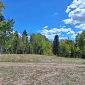 Review photo of pike national forest (CR 511) by Shelley B., September 22, 2026