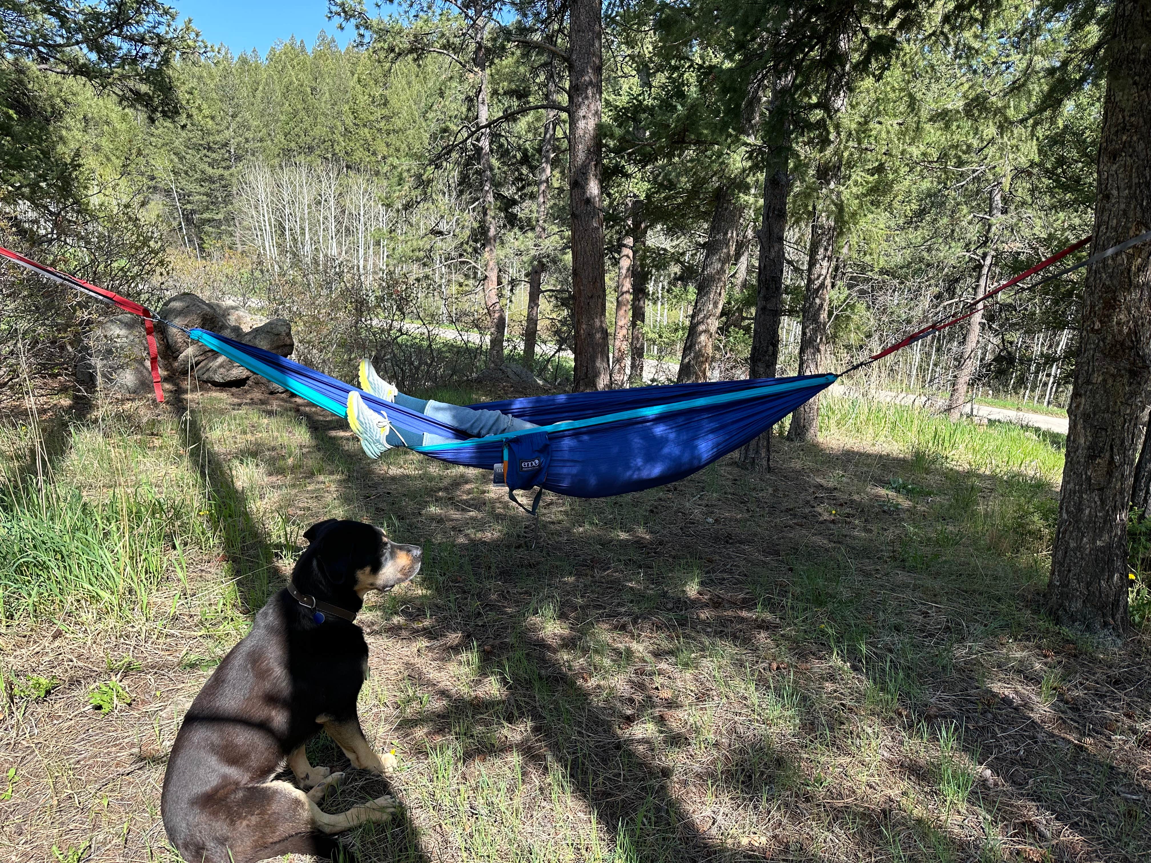 Erik B.'s photo of camping with pets at Indian Creek Campground near Cimarron, CO