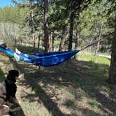 Review photo of Indian Creek Campground by Erik B., May 26, 2024