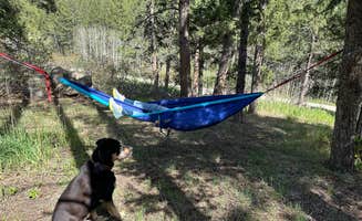 Erik B.'s photo of camping with pets at Indian Creek Campground near Parker, CO