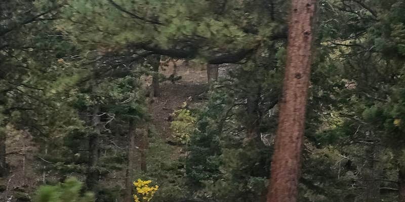 Camper submitted image from Pike National Forest Wye Campground