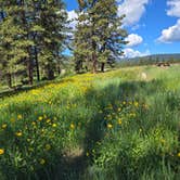 Review photo of Pilcher Creek Reservoir by Kristi R., June 19, 2024