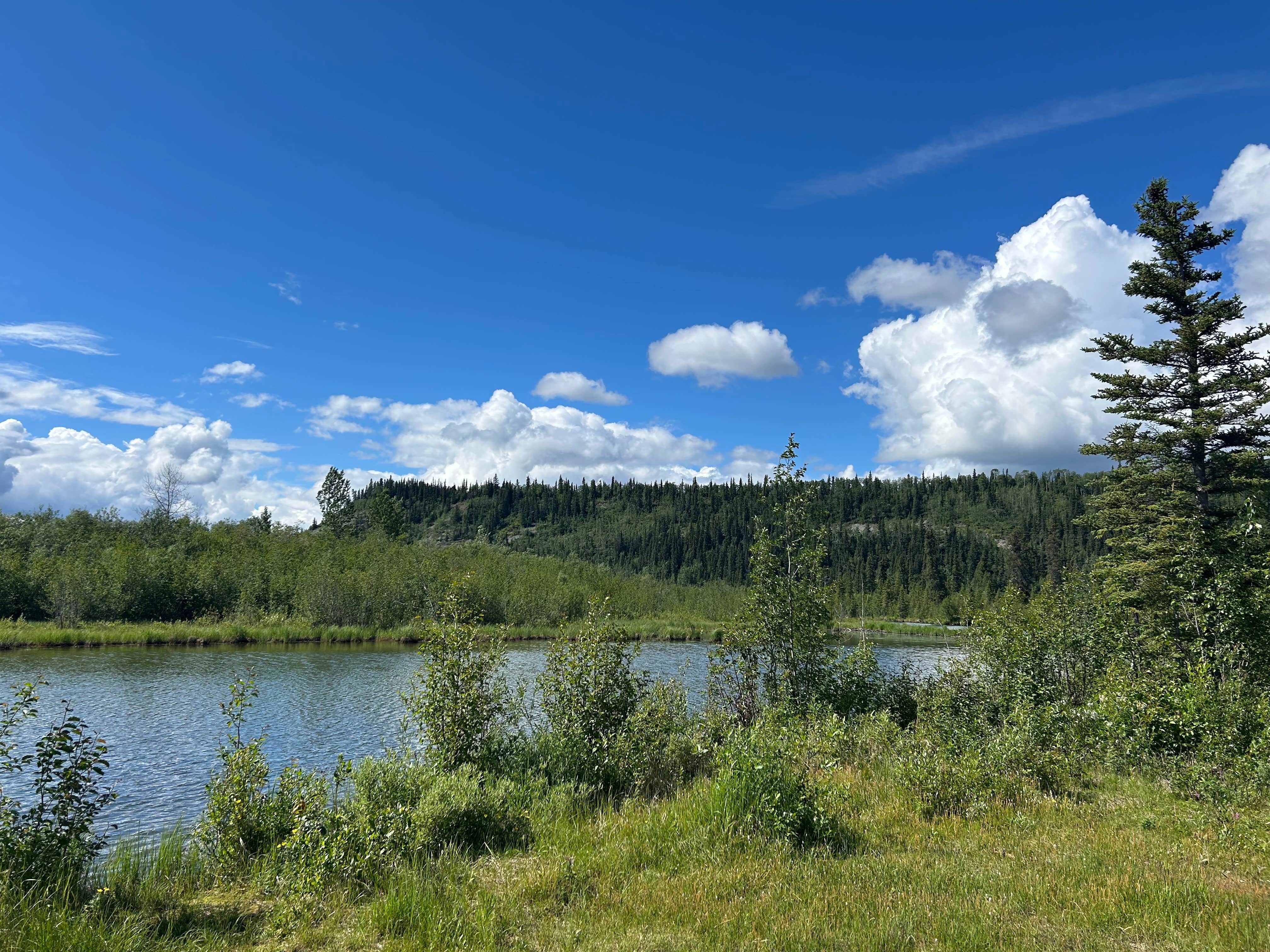 Pilot Pond