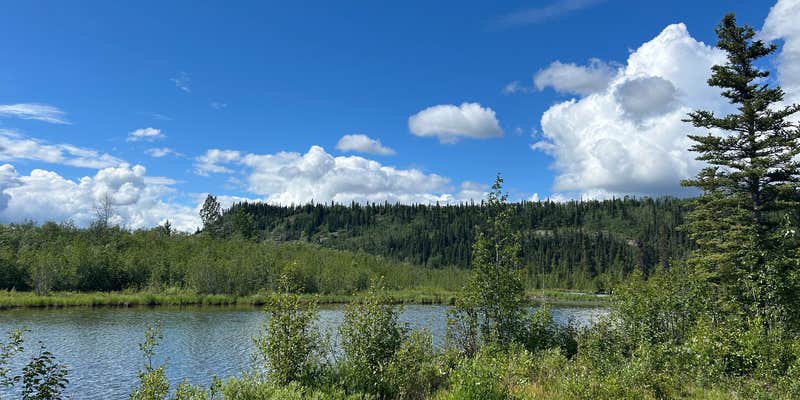 Camper submitted image from Pilot Pond