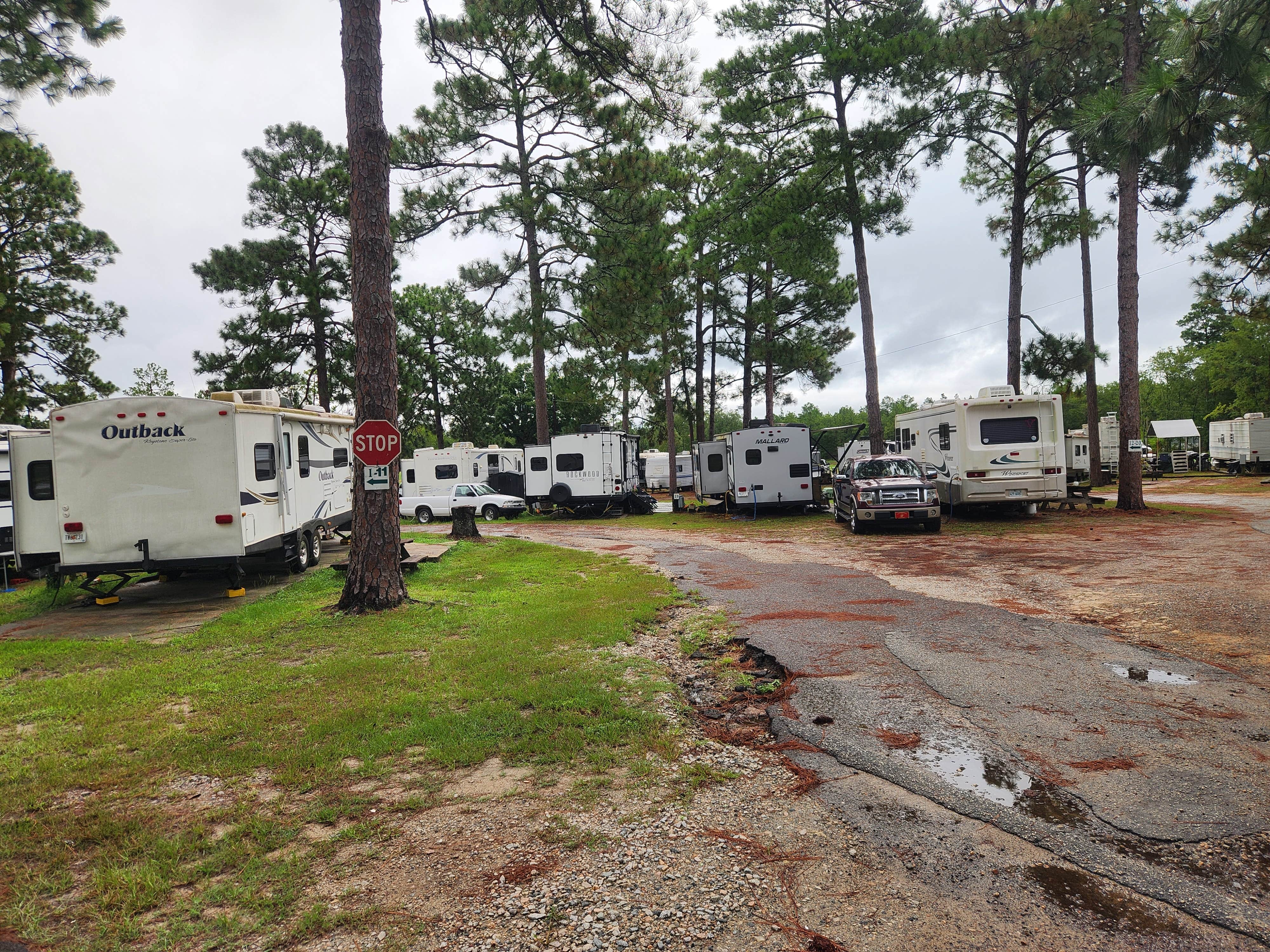 Bobbie S.'s photo of rv camping at Pine Acres Campground and RV Park near West Columbia, SC
