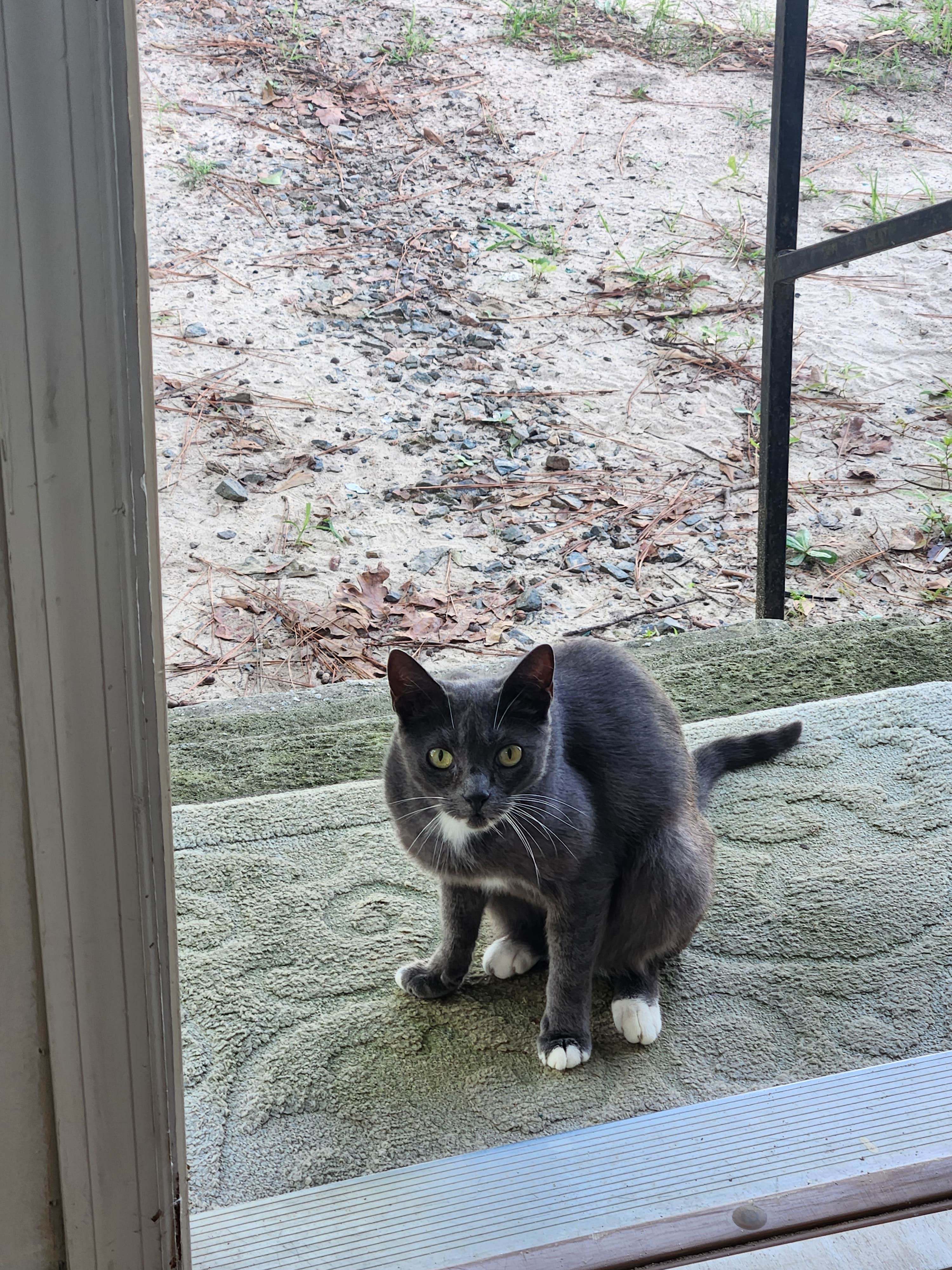 Camper-submitted photo at Pine Acres Campground and RV Park near Warrenville, SC