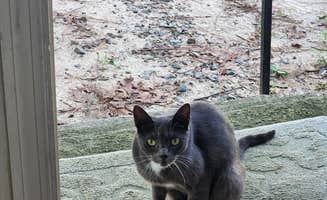 Bobbie S.'s photo of camping with pets at Pine Acres Campground and RV Park in South Carolina