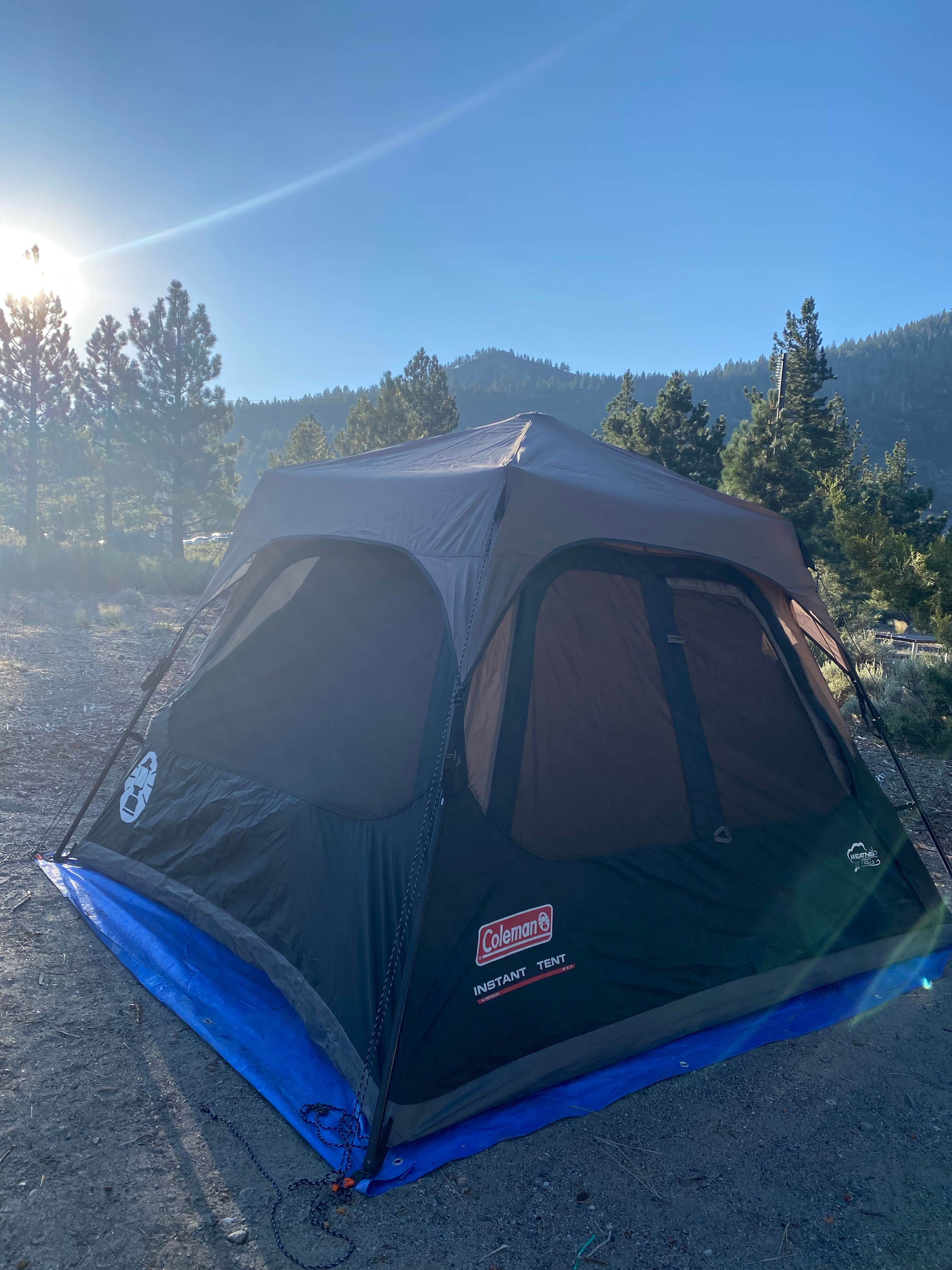 Lianne A.'s photo at Inyo National Forest Oh Ridge Campground near June Lake, CA