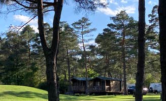Janet R.'s photo of glamping accommodations at Pinecreek Campground near Blodgett Mills, NY