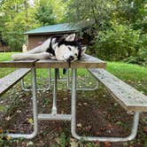 Review photo of Pinecreek Campground by Janet R., December 31, 2025