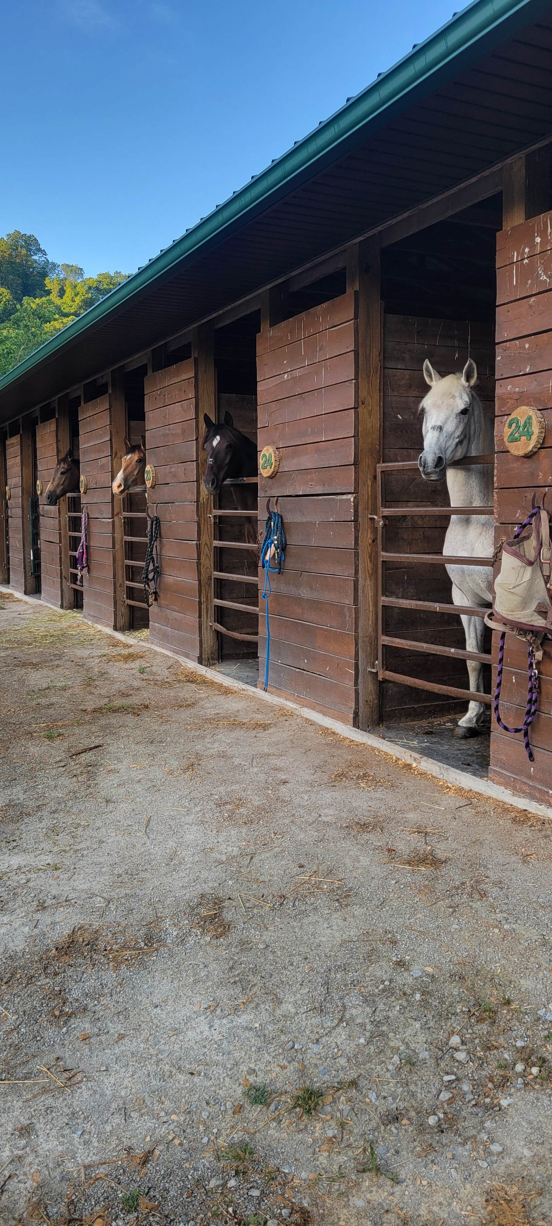 Janessa S.'s photo of camping with a horse at Pine Creek Cabins & Camping Resort near Geneva, OH