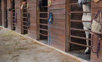 Janessa S.'s photo of camping with a horse at Pine Creek Cabins & Camping Resort near Ray, OH