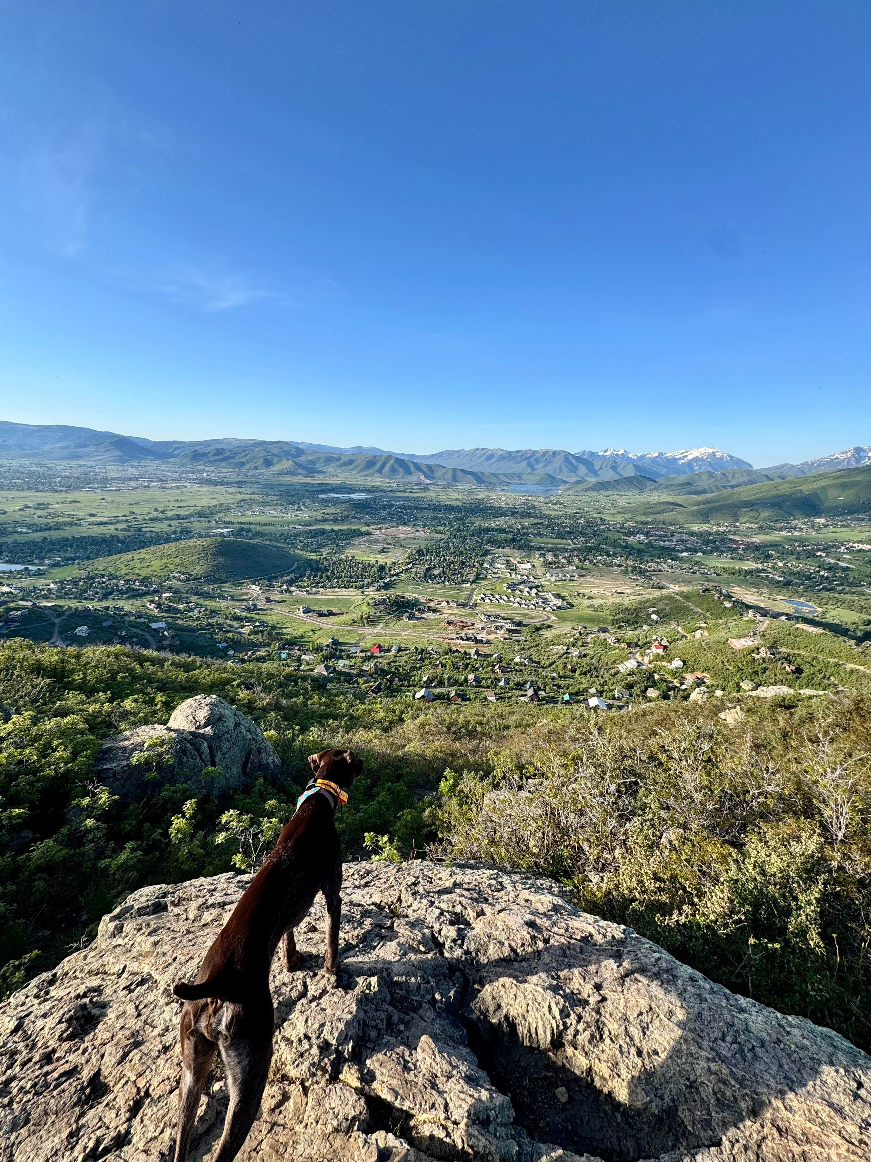 Reames C.'s photo of camping with pets at Pine Creek Campground — Wasatch Mountain State Park near South Salt Lake, UT