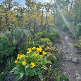 Review photo of Pine Creek Campground — Wasatch Mountain State Park by Reames C., June 11, 2025