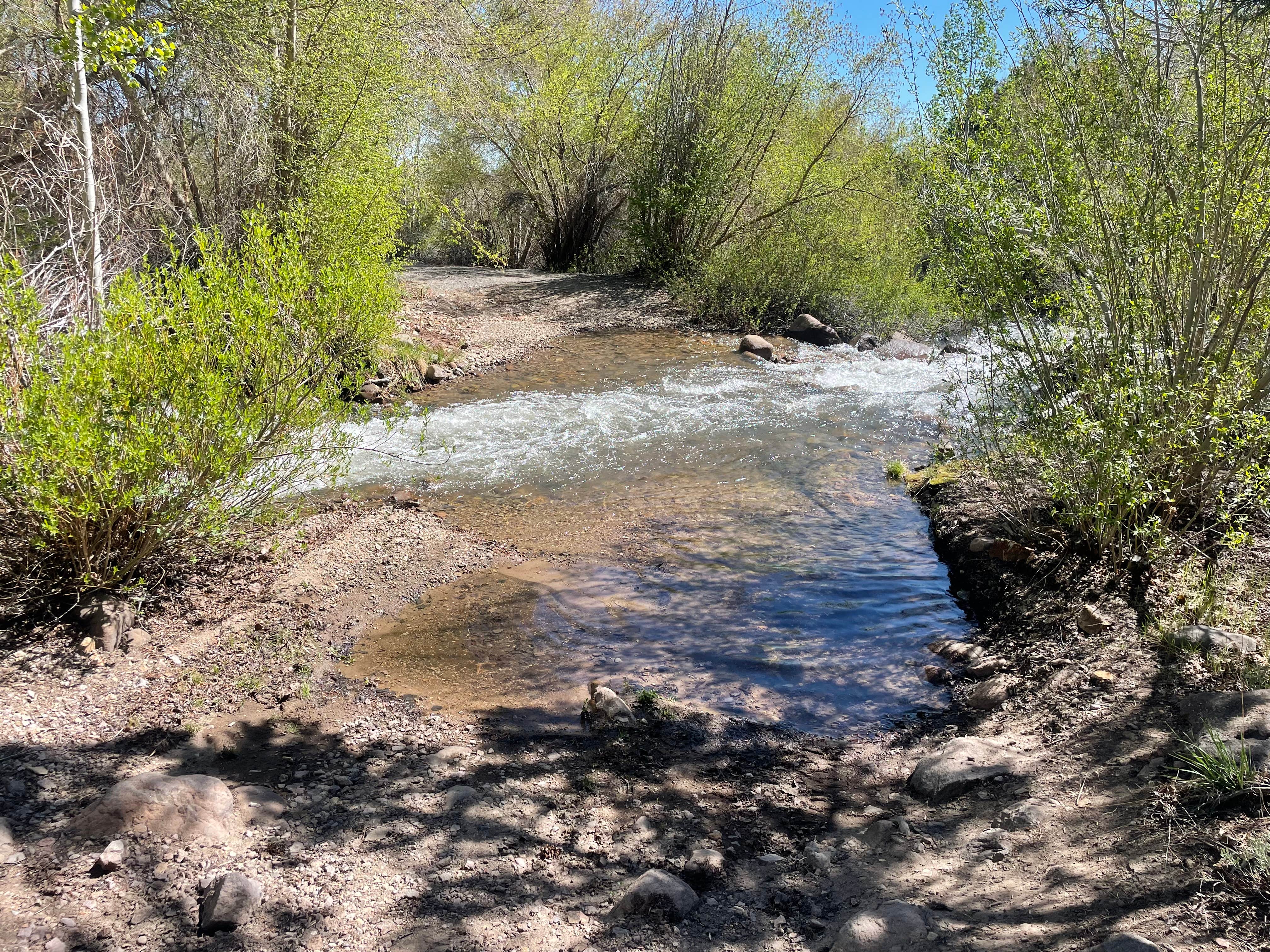 Camper-submitted photo at Pine Creek Campground near Round Mountain, NV