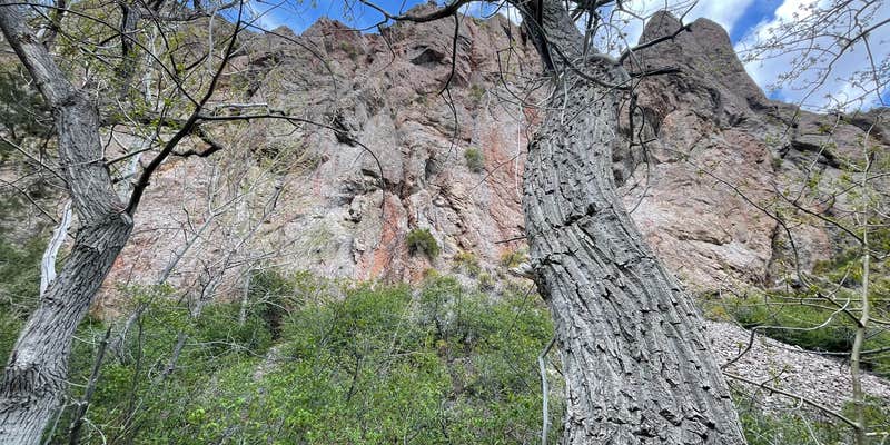 Camper submitted image from Pine Creek Campground