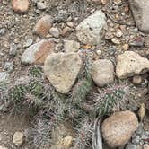 Review photo of Pine Creek Campground by Teri S., May 29, 2025