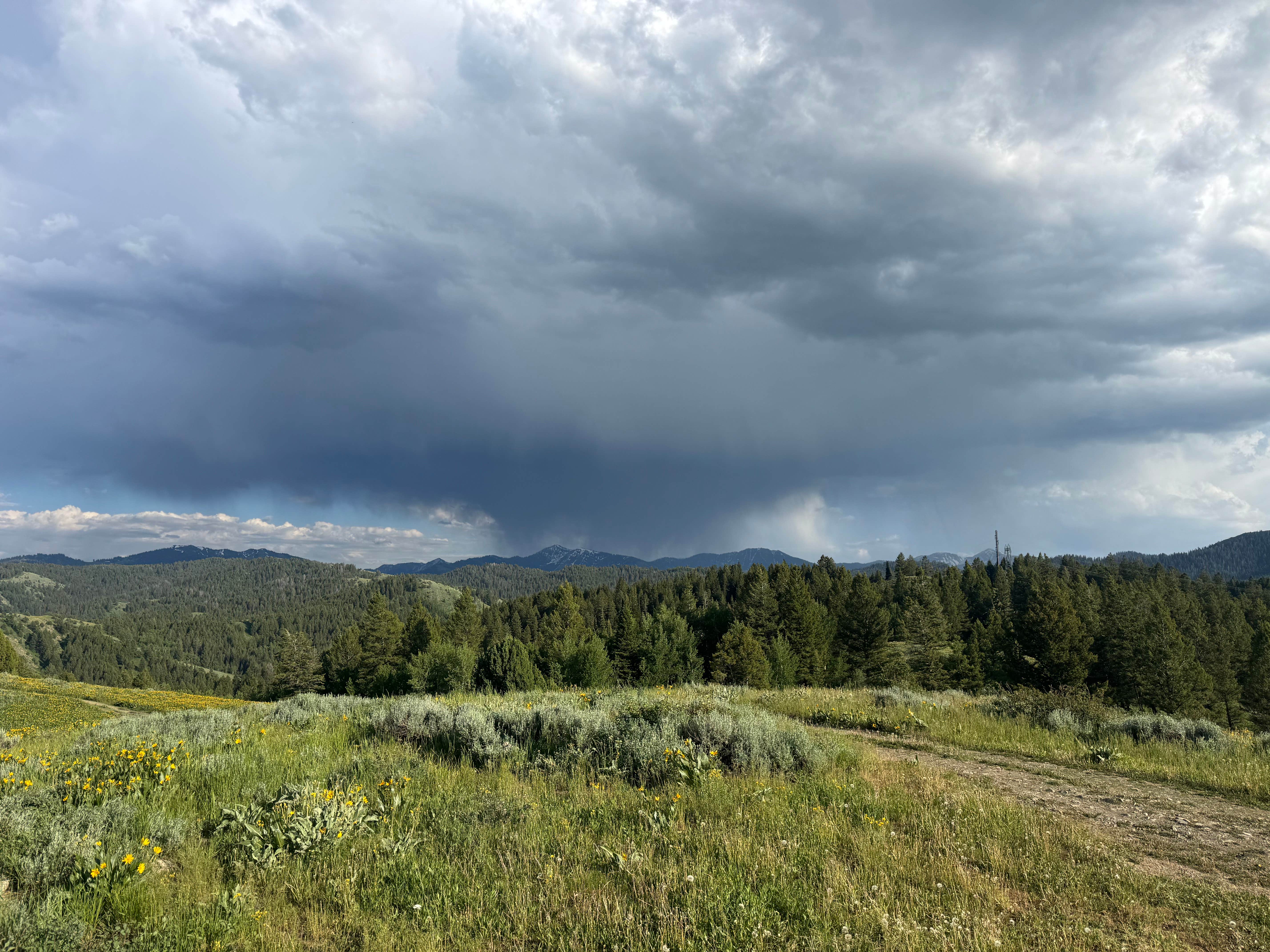 Camper-submitted photo at Pine Creek Pass Dispersed Camping near Irwin, ID