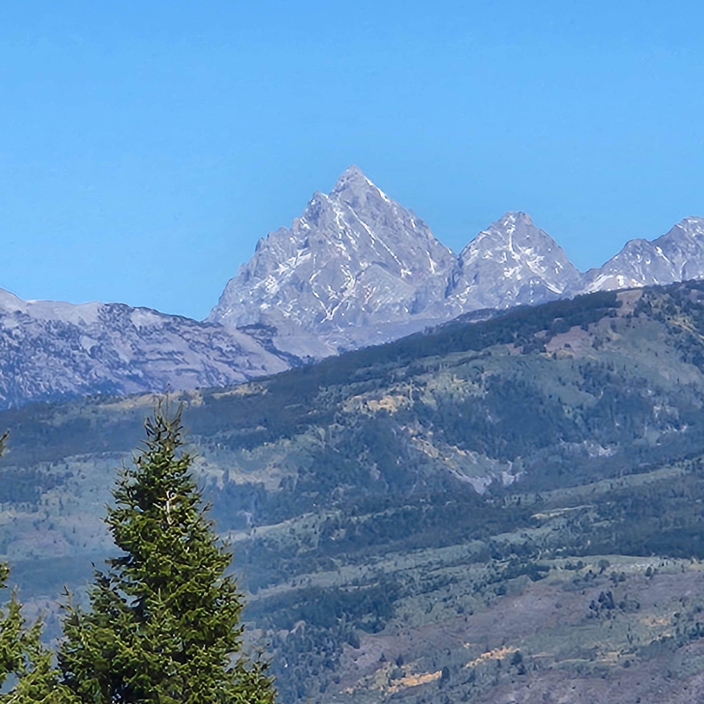 Camper-submitted photo at Pine Creek Rd Dispersed near Victor, ID