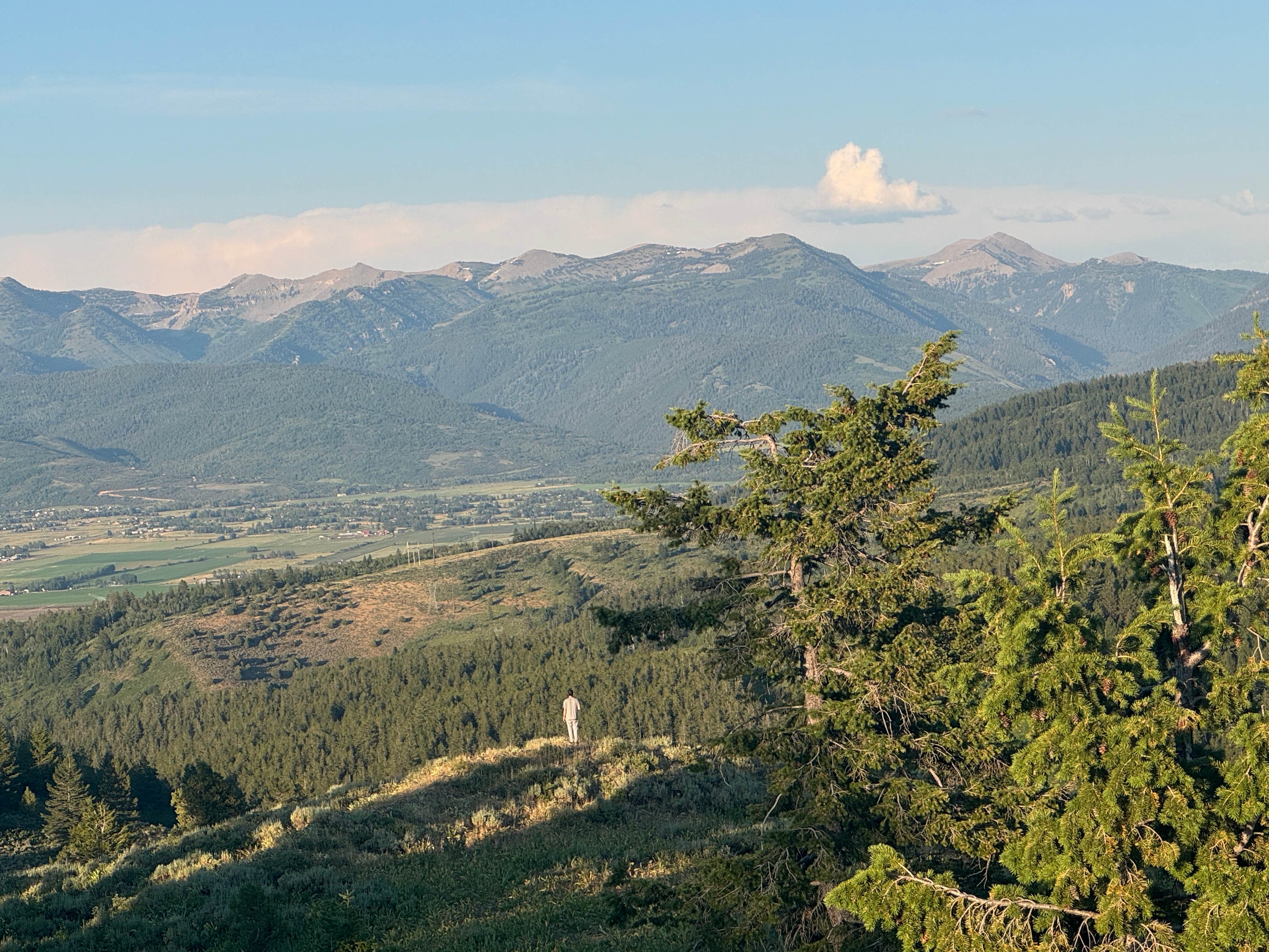 Pine Creek Rd Dispersed