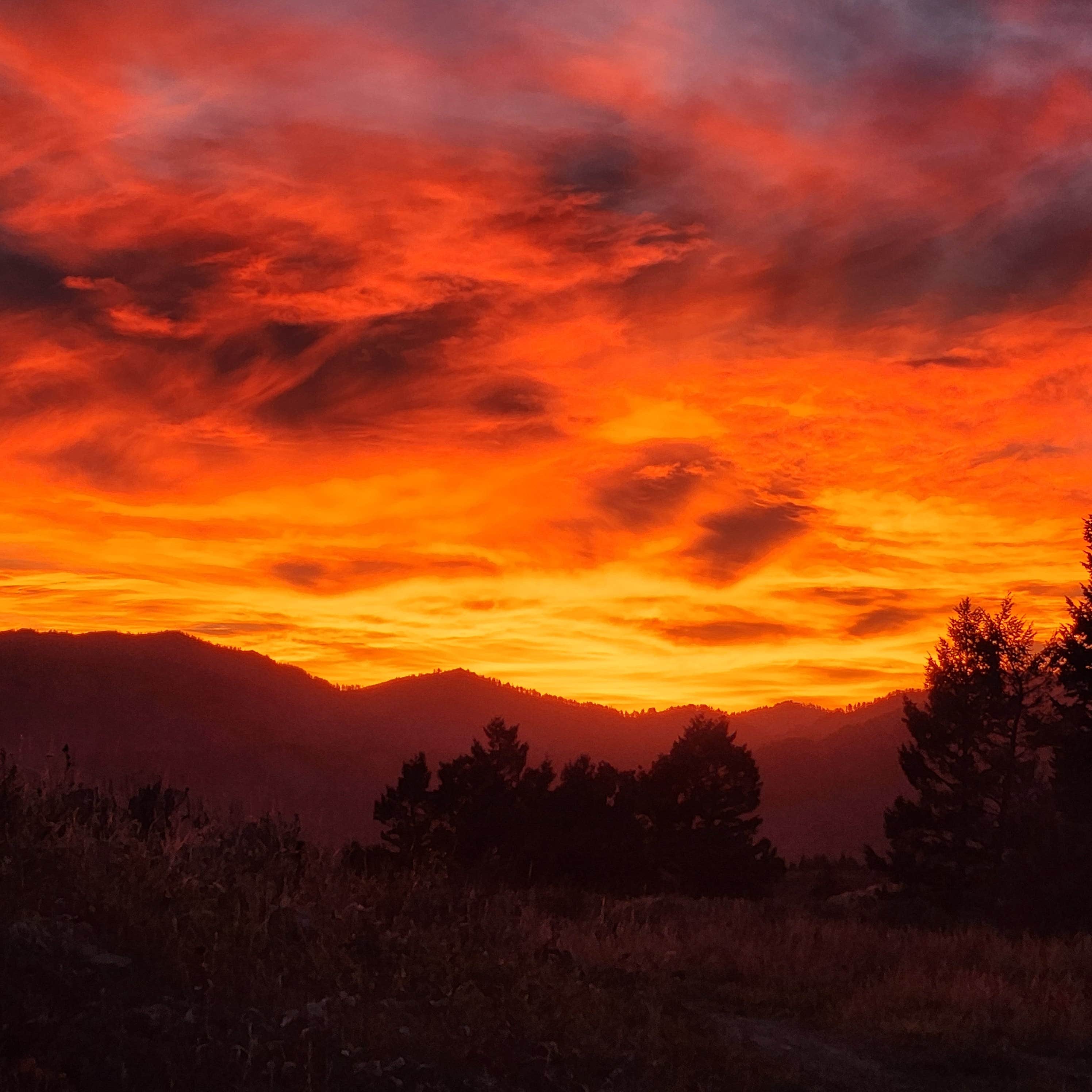 Robert F.'s photo of a dispersed camping area at Pine Creek Rd Dispersed near Irwin, ID