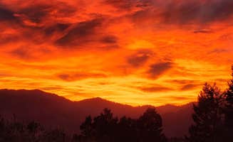 Robert F.'s photo of a dispersed camping area at Pine Creek Rd Dispersed near Swan Valley, ID