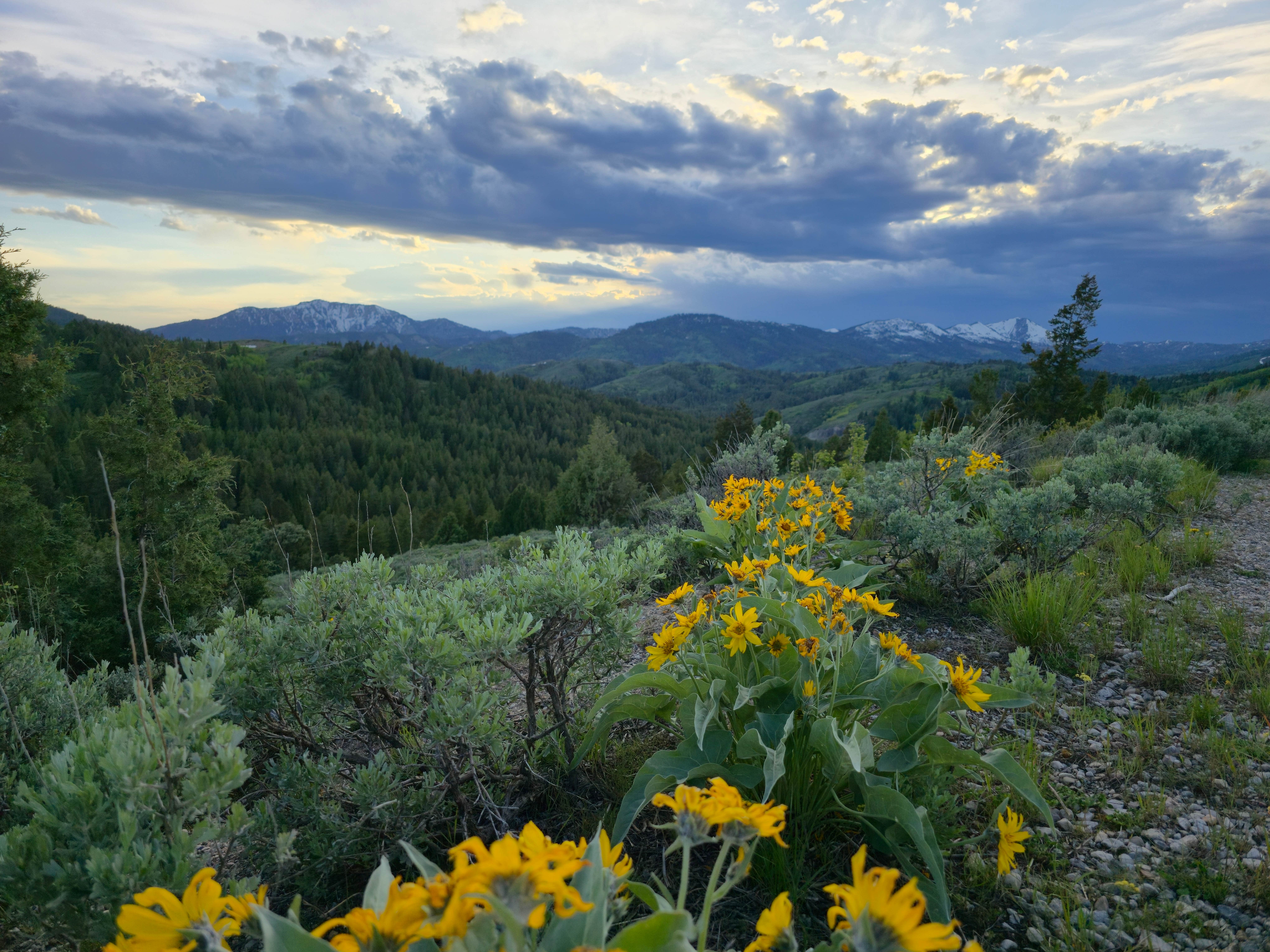 Camper-submitted photo at Pine Creek Rd Dispersed near Irwin, ID