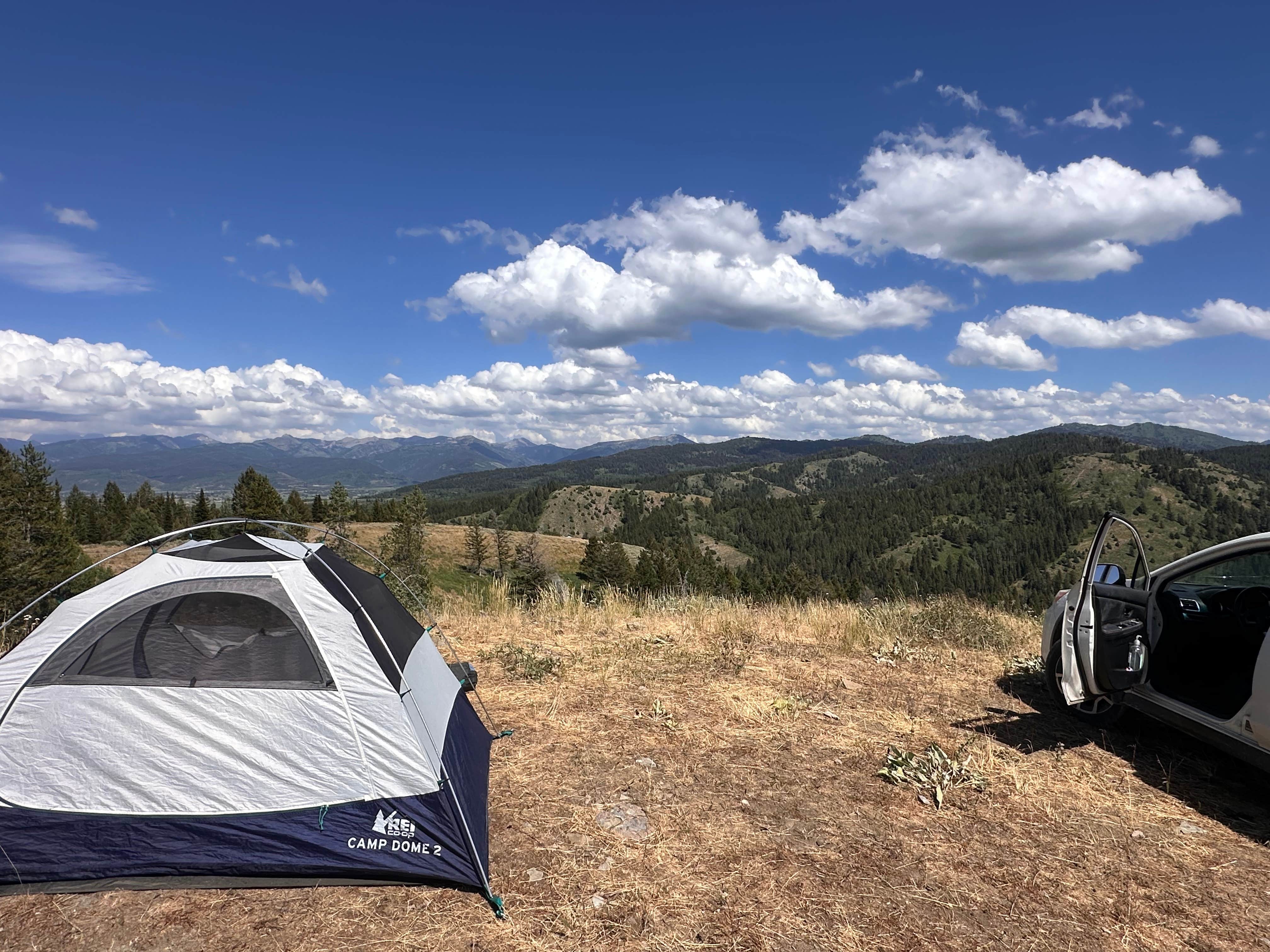 Camper submitted image from Pine Creek Rd Dispersed - 5