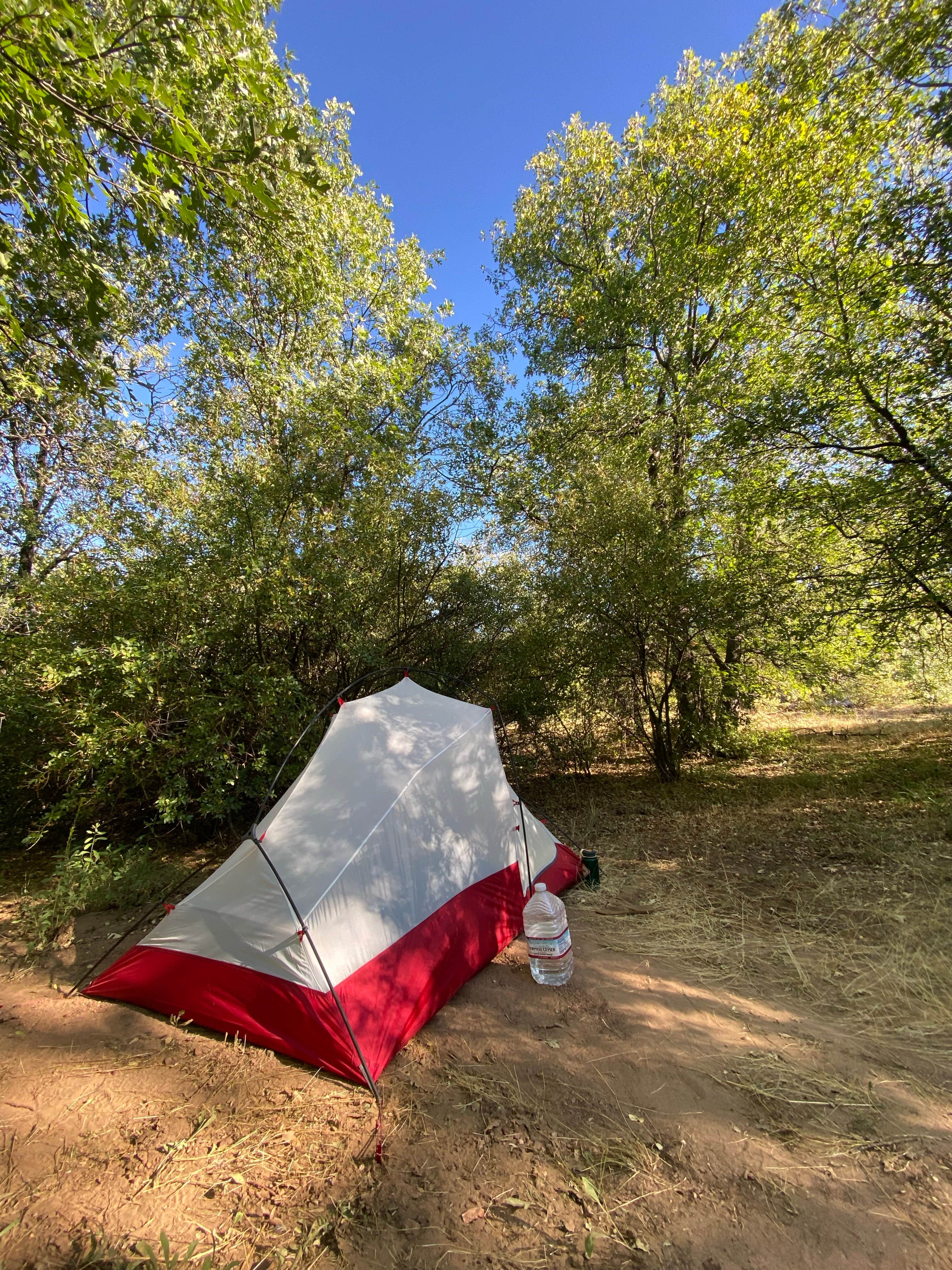 Camper-submitted photo at Pine Creek Road Camp near Julian, CA