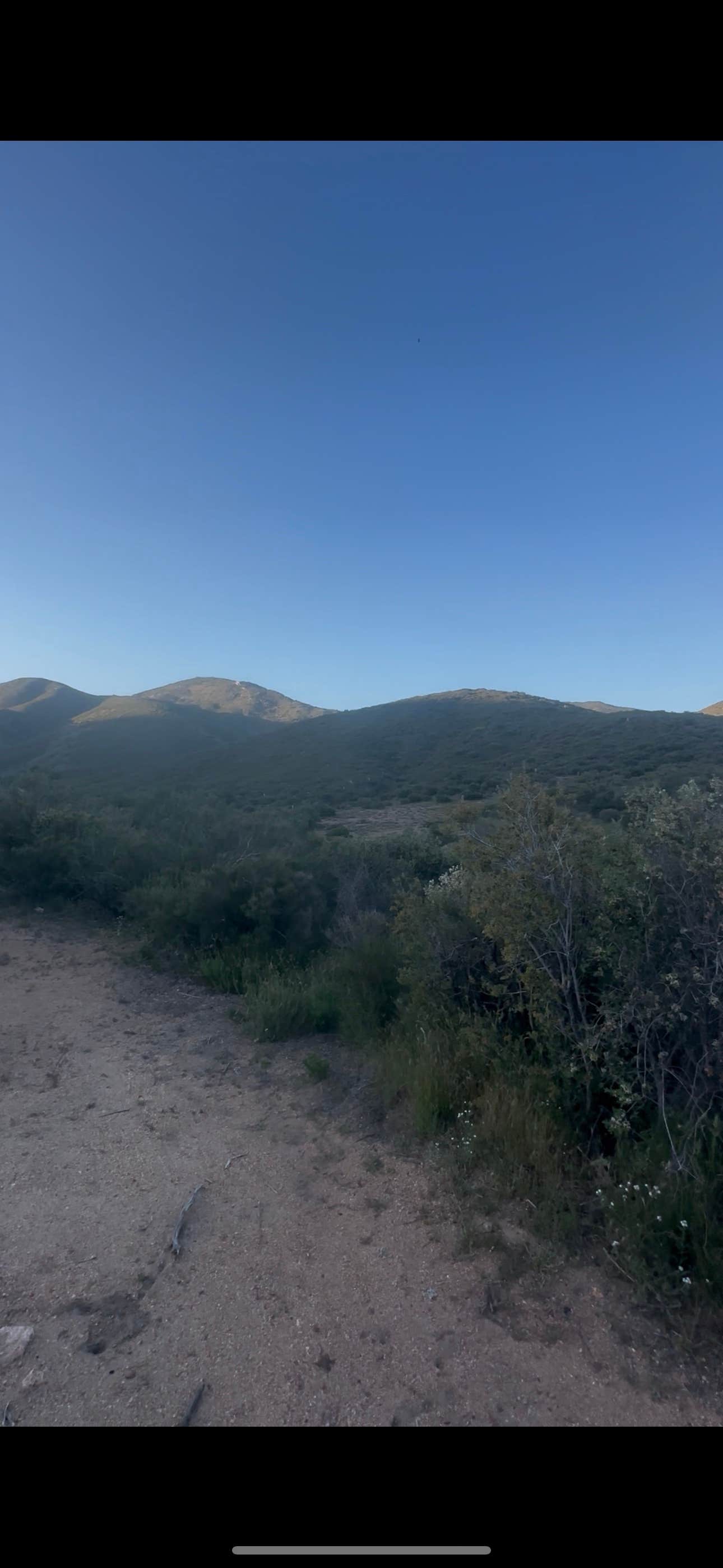 Camper submitted image from Pine Creek Road Camp - 2