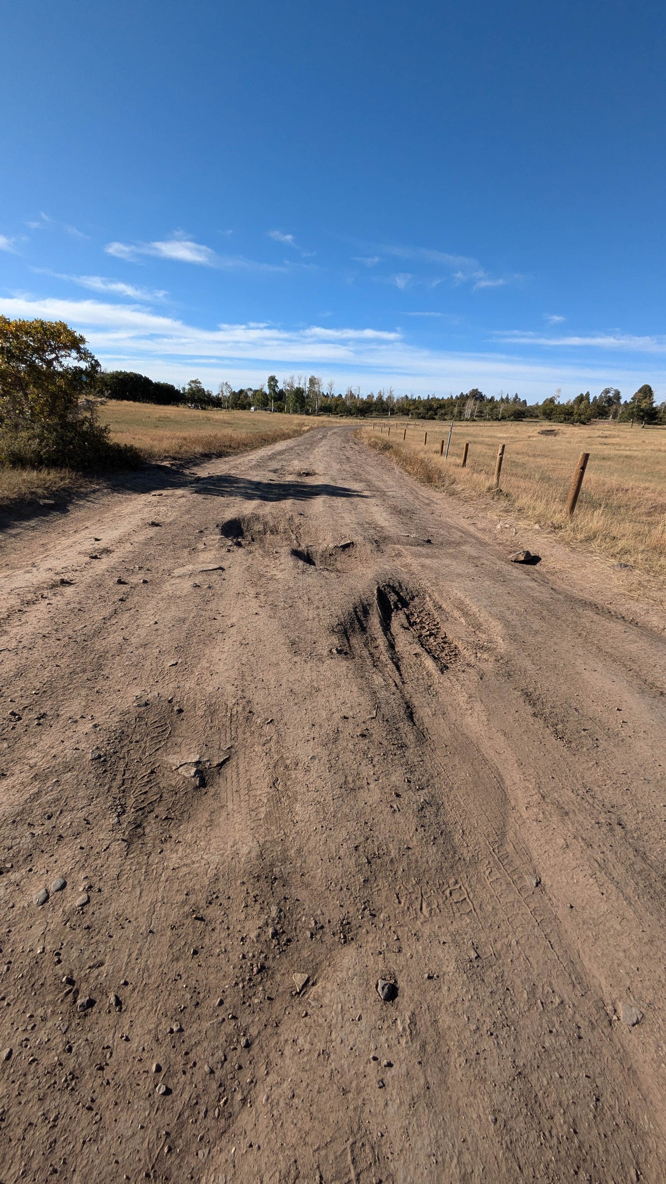 Camper-submitted photo at Pine Flat Dispersed Camping Area near Monticello, UT