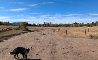 Greg L.'s photo of camping with pets at Pine Flat Dispersed Camping Area near Blanding, UT