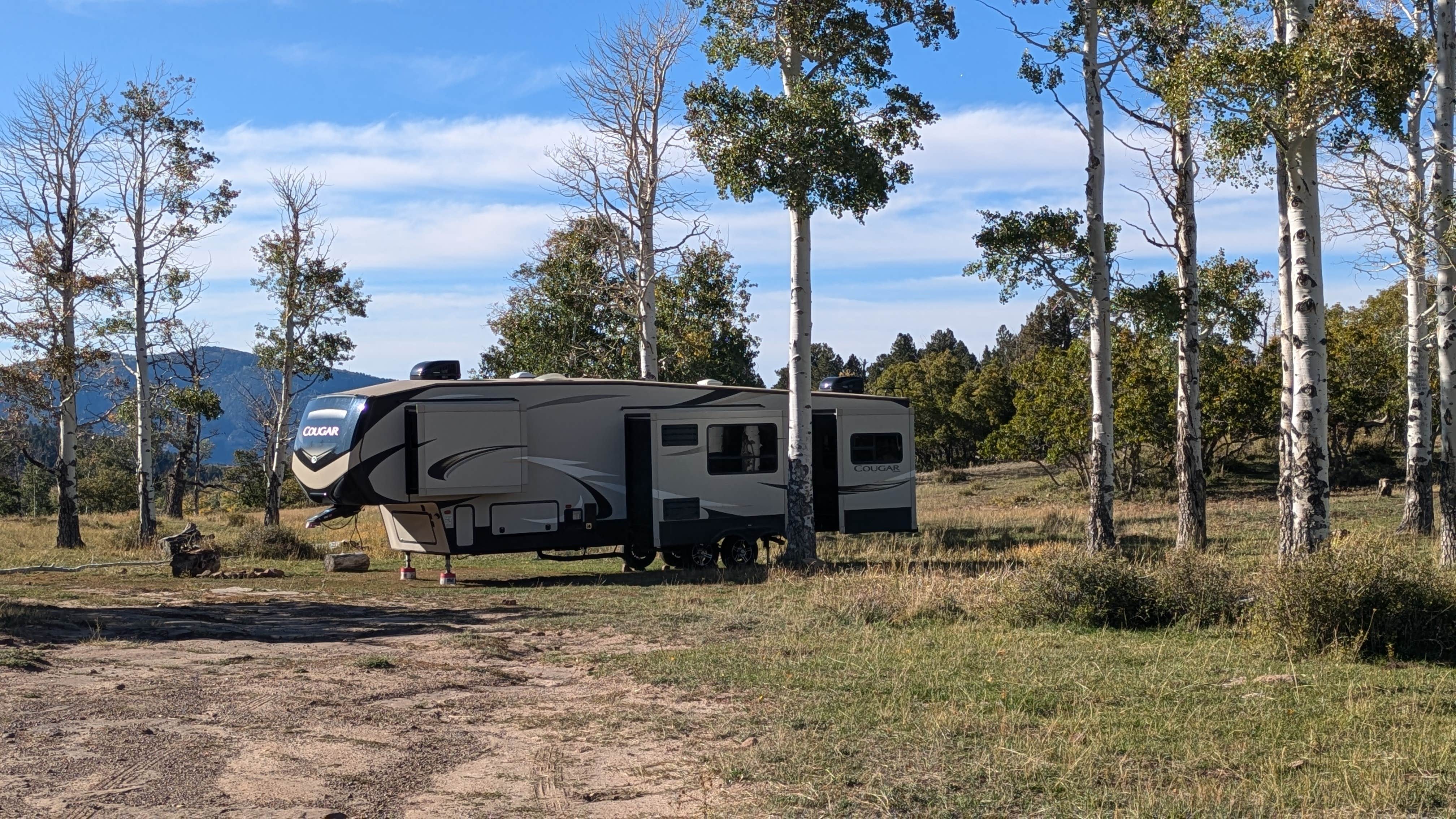Camping near Manti-LaSal National Forest Nizhoni Campground: Pine Flat Dispersed Camping Area, Monticello, Utah