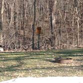 Review photo of Pine Grove Campground, Scott Co Park by James M., February 13, 2024