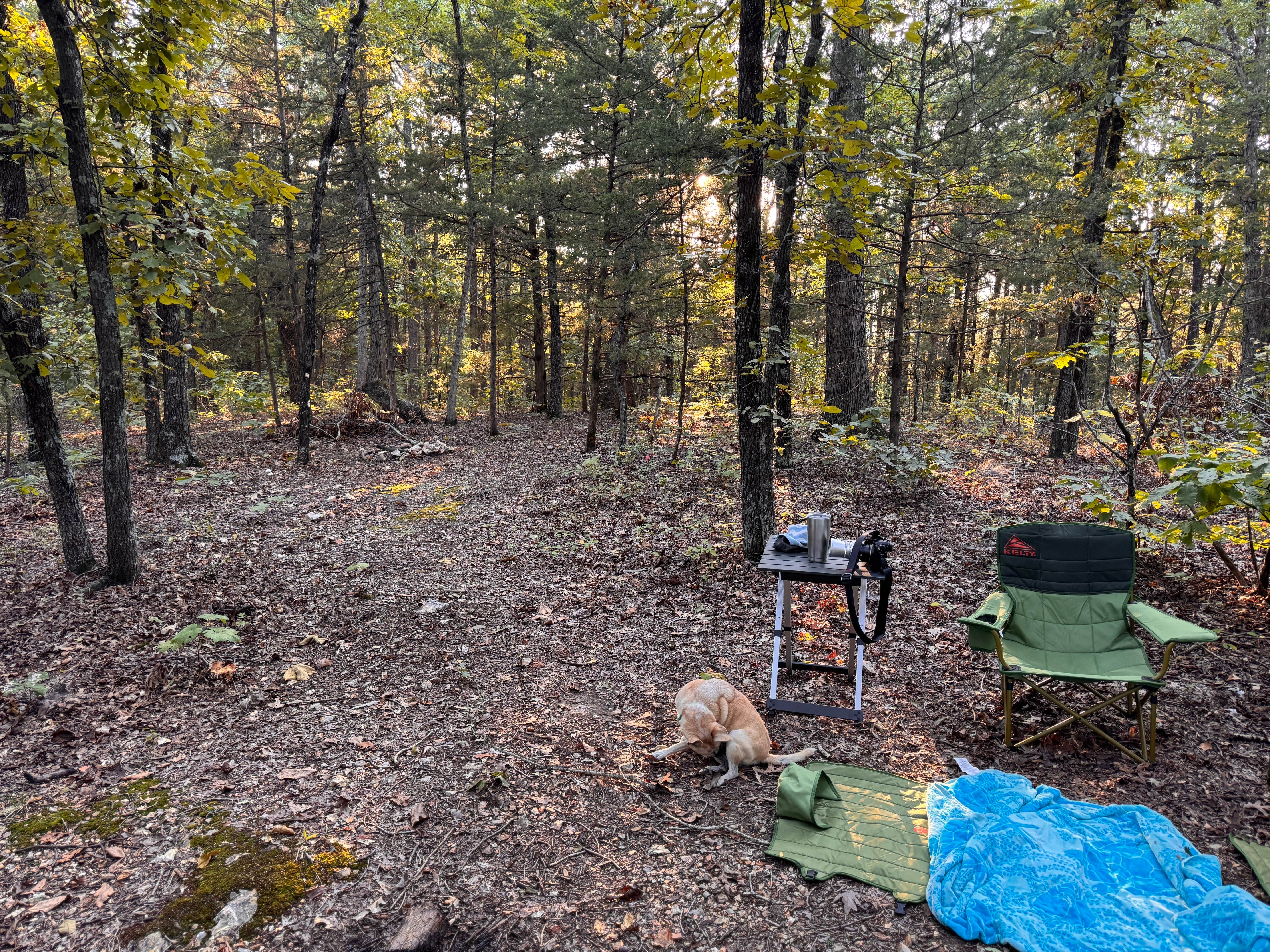 Camper-submitted photo at Pine Hollow 1045 Dispersed Camping near Fayetteville, AR