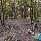 Review photo of Pine Hollow 1045 Dispersed Camping by Dan P., October 3, 2025